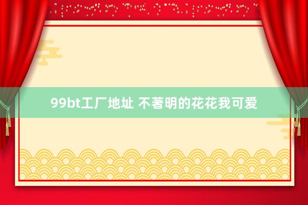 99bt工厂地址 不著明的花花我可爱