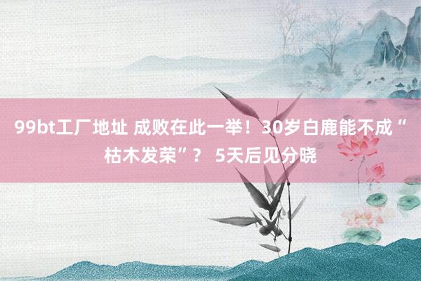 99bt工厂地址 成败在此一举！30岁白鹿能不成“枯木发荣”？ 5天后见分晓