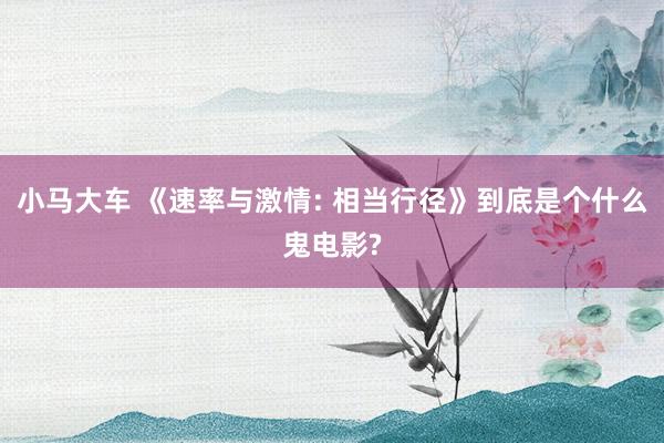 小马大车 《速率与激情: 相当行径》到底是个什么鬼电影?
